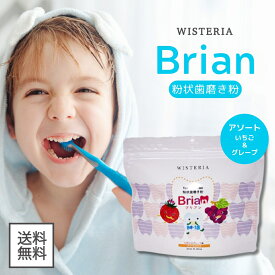 【5と0のつく日★限定クーポン＆全品ポイント2倍！1/20】ブリアン 歯磨き粉 Brian 0.5g 60包 無添加 子供用歯磨き粉 アソートタイプ