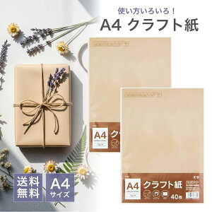 Ntg A4TCY 40 CNWFbg [U[v^[ Ή p n Fp   H 쐬