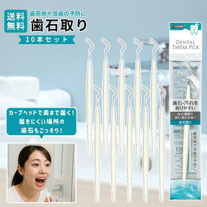 yyVC[OXӍ!Si|Cg2{!11/14 10:00~zΎ ̗aɓ͂ Ea\h ZtPAp f^c[ }EXPA I[PA XeX