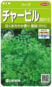 TJ^̃^l n[u8077 `[r(ZtB[) n[u 00928077