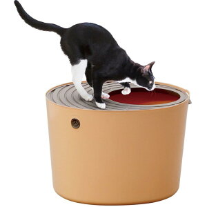 ACXI[} L gC { ォLgC (юUȂ) IW M[TCY