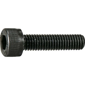 gXRR(TRUSCO) Zpt{g  SlW M6×25 10{ ʃpbN Y804-0625