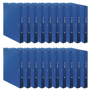 vX p t@C A4 2O  񋟕[p lCr[ 98-068×20