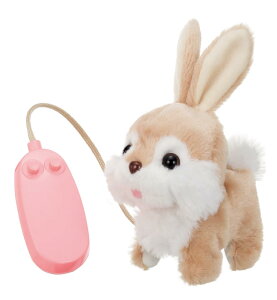 C(IWAYA) Rł ssbs[ ST}[NF 3ˈȏ  drœʂ