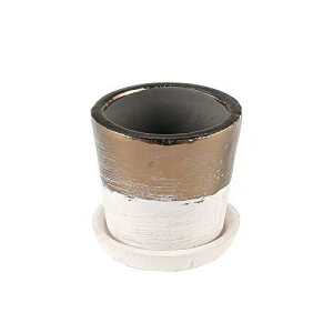 _g(Dulton) |pi eRb^ oCJ[ |bg XSTCY ꌊ TERRACOTTA BICOLOR POT G20-0202XS
