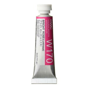 zxC ʊG W170 5ml uCg[Y(~iX) 03170