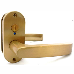 Z(Kawaguchigiken) Jo[ \  Zpo[nh obNZbg50mm JL-24-4K-SG TeS[h