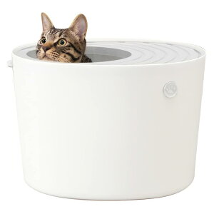 ACXI[} L gC ォLgC юUɂ v` AC{[