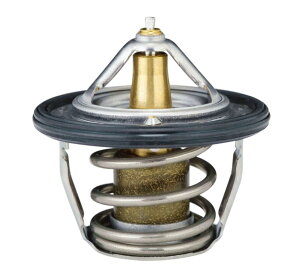  (TAMA) T[X^bg CC^ G/Kt 56mm W56FA-78