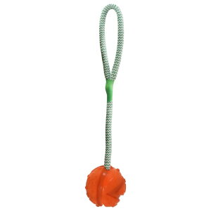 PLATZ PET SUPPLIES  FUN GoFetch p K-9 {[ IW M TCY
