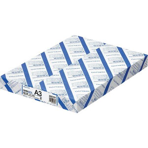 RN(KOKUYO) PPCp p 500 A3 KB-28