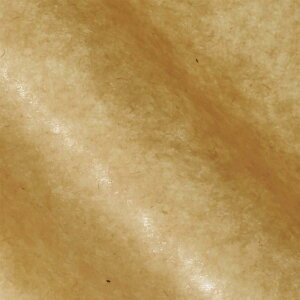 VW} (wCR[) bNXV[g Ɩp NNtg 400x300mm 250 002100503