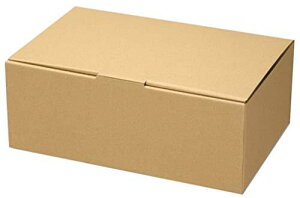 ヘイコー 箱 ダンボール ナチュラルボックス ECO・Z-6 19x30x11.5cm 10枚