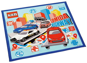 XP[^[(Skater) qp ٓ `NX 43×43cm LbY { g~J 25 j̎q KB4