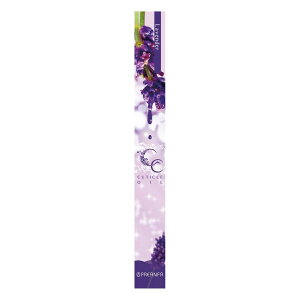 vWF ÔPA CCL[eBNIC x_[ 4.5g ێIC y^Cv