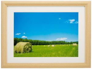 FUJICOLOR 額縁 YM-3 アクリル 木地 6切 木製 ベージュ 22462