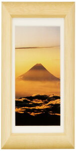 FUJICOLOR z fWtHgt[D3 i` nKL ؐ x[W 66714