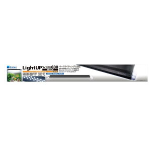  CgAbv WIDE 600 ubN 60-70cmp