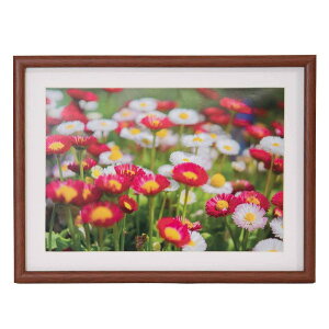 FUJICOLOR ؐz M21 A4 uE 407932