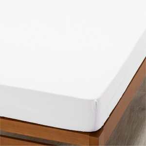 nishikawa y  z{bNXV[c NCbNV[c VO 􂦂 ɗDRbg100% u[hn ȒPłɂ 35cm܂łɑΉ n {[e BE3601 zCg PK03550099