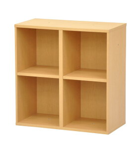 GCACebN(AITECH)J[{bNX2i 60cm 60cm j[v[W i` NPG-6060