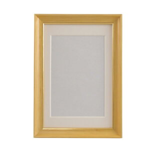 FUJICOLOR �ؐ��z �ё��z S10 �n�K�L L �i�`������ 407154