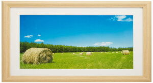 FUJICOLOR z YM-3 AN ؒn Ch6 ؐ x[W 22463