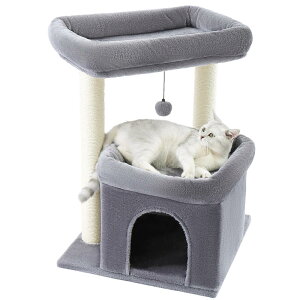 PAWZ Road Lbg^[ ^Lp  Ⴂ u R ܌ Ki Lxbh B  VjAL  gȒP ^s Oh[ - O[ 65cm