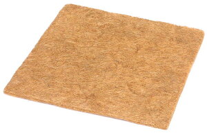 ^JV[ V}bgXNGAV[g 60cm