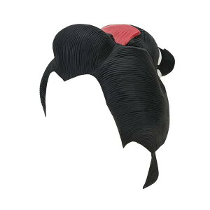 ACR |  290mm×250mm×50mm ebNX