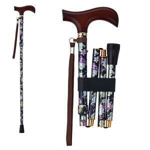 EFt@ CtXebL ܂肽ݐLk^ ԃubN