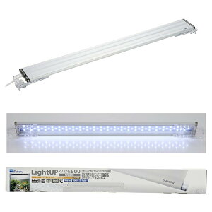  CgAbv WIDE 600 zCg 60-70cmp