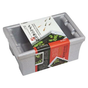 SUDO(Xh[) X^[ybg _J̔A S-5580