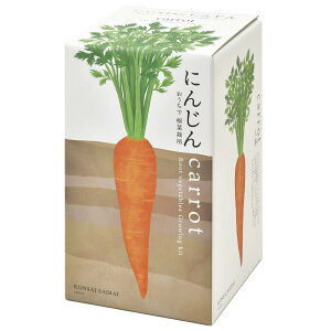 V| ʔN ƒ؉ ȒP ͔|Lbg Ă ɂ񂶂  ͔|Zbg ( R / H ) ̌a10cm ō ̓ v[g a GD-89102