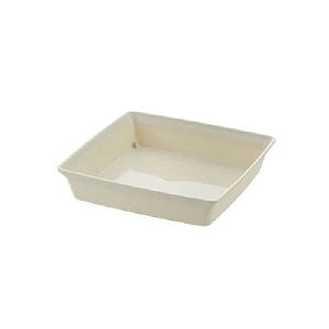 b`F vpM tH[XNGAv[g 6 zCg zCg