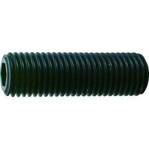 TRUSCO(�g���X�R) �Z�p���t���~�߃l�W ���� �X�`�[�� M20X60 1�{�� B632060