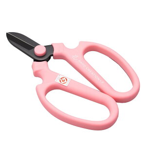 ⌹(Sakagen)  nhNG[V F170 tbfR[eBO 17×11cm { sN 81142