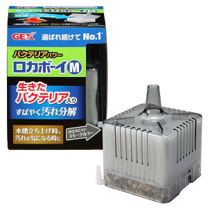 ���i�摜