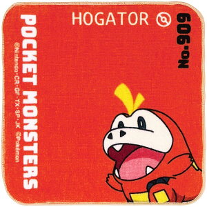 (Hayashi) ~j^I 20×20cm |P zQ[^ PN481219