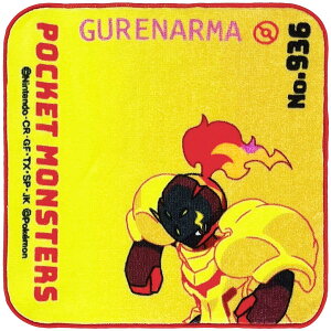 (Hayashi) ~j^I 20×20cm |P OA} PN481225