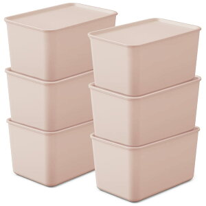 ACXI[} [{bNX ӂt 6Zbg 45×s29×25cm [P[X ӂtςݏdBOX sNx[W [ ߗ  RX  FTB45D