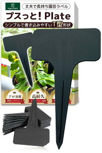 nbs[vc _ƃRTE |x 100Zbg F  PPf K[fjO Aؔ v^[ Ԓd T^ GDL-BL ()