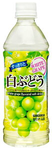 �T���K���A ��������Ɣ��Ԃǂ� 500ml ×24�{