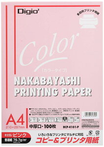 iJoV Rs[v^p J[^Cv A4 100 sN HCP-4101-P