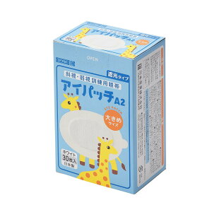 Jg ACpb` zCg 傫 30 A-2