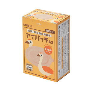 Jg ACpb` x[W 傫 30 A-2