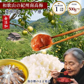 梅干し 和歌山 南高梅梅干し 訳あり 紀州南高梅 南高梅 梅 和歌山県産 無添加 無着色 塩分 約 20% 梅干し通販 昔ながら 白干し 保存食 おにぎり に 合う 無添加梅干し 訳あり梅干し 紀州梅干し 訳あり梅干し送料無料 500g 1kg 2kg 3kg 4kg 5kg 10kg 送料無料 熱中症対策