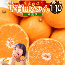有田みかん 減農薬 【最大5000円引】 みかん箱買い 和歌山県産 みかん ミカン 1kg 2kg 3kg 5kg みかんケース 箱買い 訳あり 有田みかん5キロ ご家庭用 早生 有田のみかん 極早生 濃厚 甘い 送料無料 大容量 産地直送 新鮮 柑橘 ギフト
