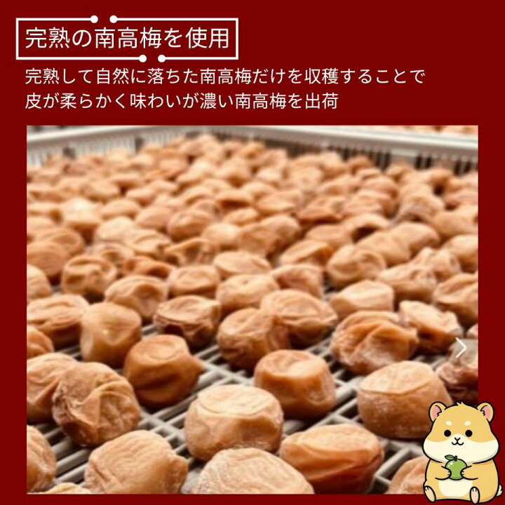 楽天市場】梅干し 和歌山 南高梅梅干し 訳あり 紀州南高梅 南高梅 梅 