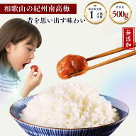 【楽天スーパーセール】訳あり 紀州南高梅 和歌山県産 【 無添加 無着色 】 梅干し 梅 南高梅 500g 和歌…
